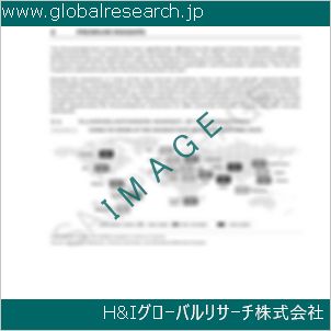 グローバルリサーチ調査資料のイメージ